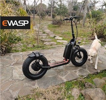 500W 20-Zoll-Fat-Reifen-Fahrrad-Erwachsen-Offroad-Schnell-Gebirgselektrofahrrad zu verkaufen